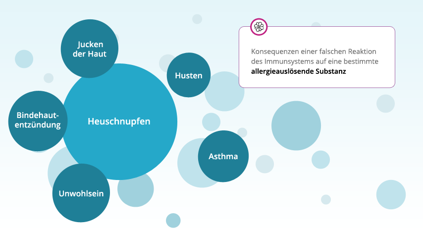 Reaktionen des Organismus auf allergieauslösende Substanzen - informationsgrafik
