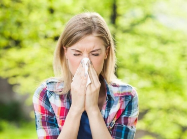 Der Ratgeber für Allergiker - welche Pollen kommen im Sommer?