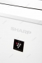 Sharp KI-G75EUW - Nahaufnahme des Logos