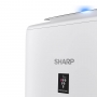 Sharp UA-KIN40E-W - Nahaufnahme des Herstellerlogos und von Plasmacluster